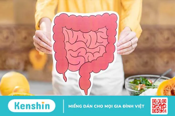 Ăn chuối có tác dụng gì? 16 tác dụng của chuối với sức khỏe