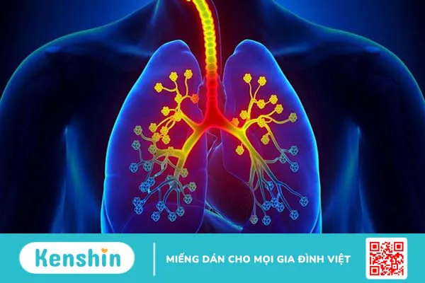 Ăn chuối có tác dụng gì? 16 tác dụng của chuối với sức khỏe