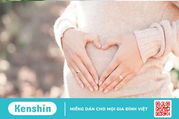 Ăn đậu bắp có tác dụng gì? 9 công dụng của đậu bắp đối với sức khoẻ