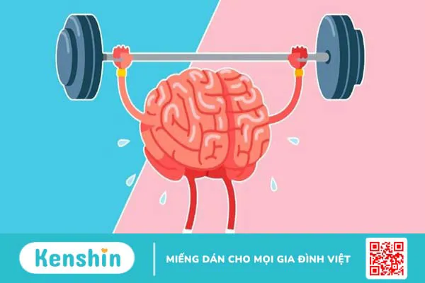 Ăn dưa chuột có tác dụng gì? 18 tác dụng của dưa leo với sức khoẻ