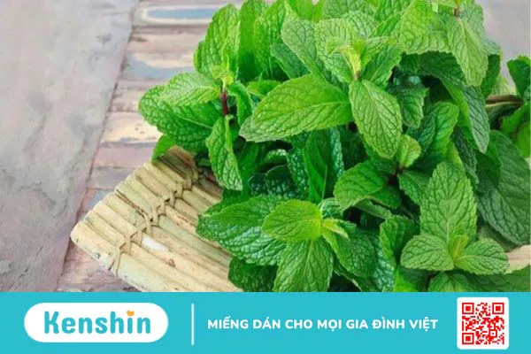 Ăn gì trước khi quan hệ? 9 món giúp bạn gái giữ vùng kín thơm và khoẻ