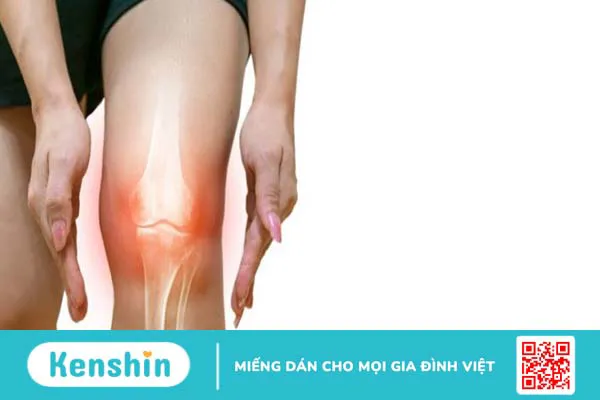 Ăn hạt hướng dương có tác dụng gì? 16 tác dụng và lưu ý khi ăn