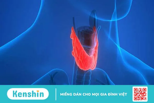 Ăn hạt hướng dương có tác dụng gì? 16 tác dụng và lưu ý khi ăn