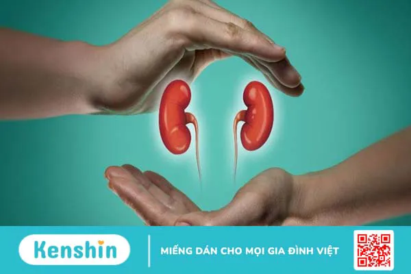 Ăn hạt hướng dương có tác dụng gì? 16 tác dụng và lưu ý khi ăn