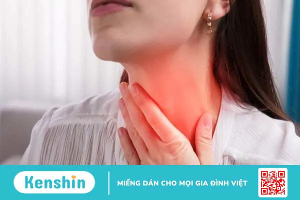 Ăn hạt hướng dương có tác dụng gì? 16 tác dụng và lưu ý khi ăn