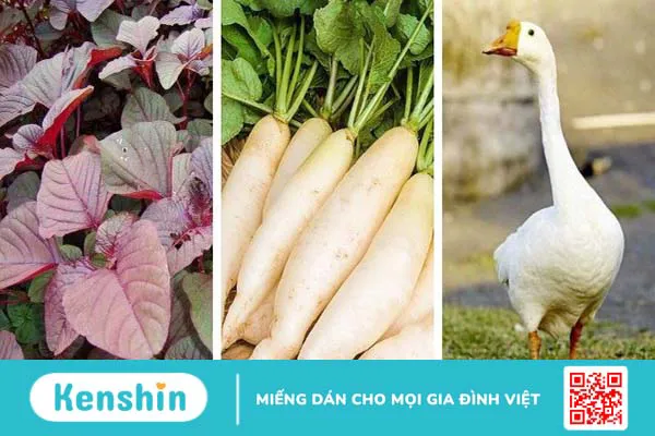 Ăn lê có tác dụng gì? 21 công dụng của quả lê và các lưu ý khi ăn lê