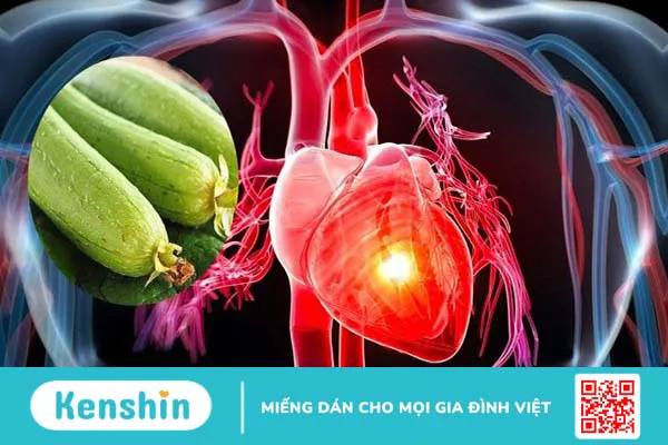 Ăn mướp có tốt không? 19 tác dụng tuyệt vời của mướp và lưu ý khi ăn