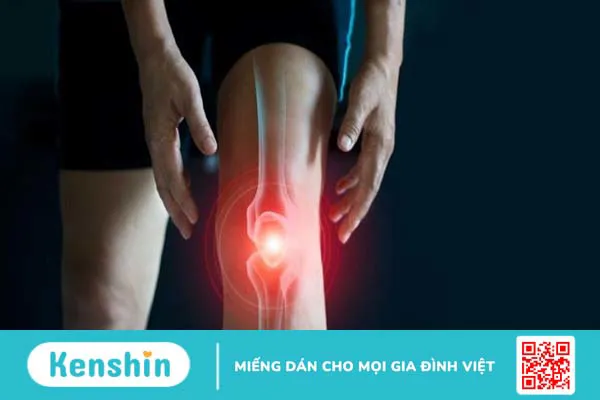 Ăn mướp có tốt không? 19 tác dụng tuyệt vời của mướp và lưu ý khi ăn