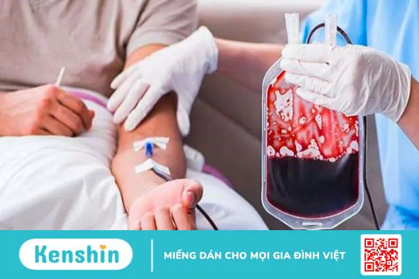 Ăn mướp có tốt không? 19 tác dụng tuyệt vời của mướp và lưu ý khi ăn