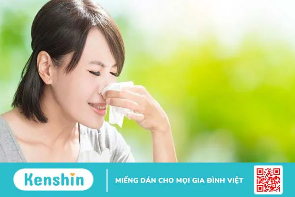 Ăn mướp có tốt không? 19 tác dụng tuyệt vời của mướp và lưu ý khi ăn