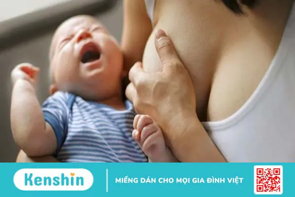 Ăn mướp có tốt không? 19 tác dụng tuyệt vời của mướp và lưu ý khi ăn