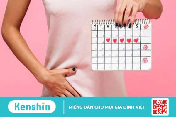 Ăn mướp có tốt không? 19 tác dụng tuyệt vời của mướp và lưu ý khi ăn