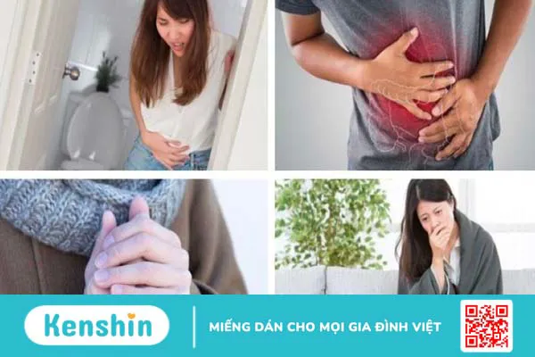 Ăn mướp có tốt không? 19 tác dụng tuyệt vời của mướp và lưu ý khi ăn