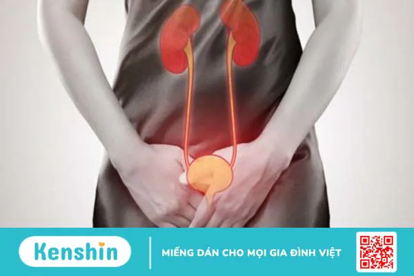 Ăn nhiều cà chua có hại không? 11 tác hại của cà chua bạn không nên xem thường