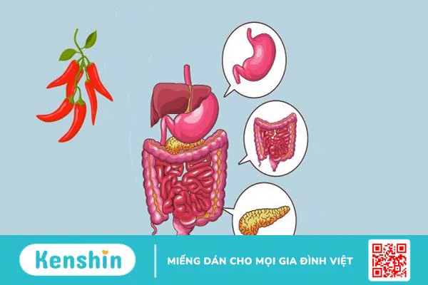 Ăn ớt có tốt cho mắt không? Lợi ích của ớt đối với mắt và sức khỏe