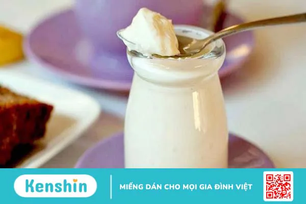 Ăn sữa chua có béo không? Sữa chua bao nhiêu calo? Cách ăn giảm cân