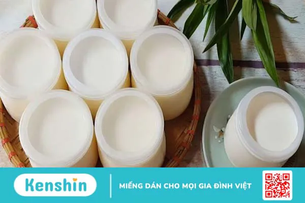 Ăn sữa chua có béo không? Sữa chua bao nhiêu calo? Cách ăn giảm cân