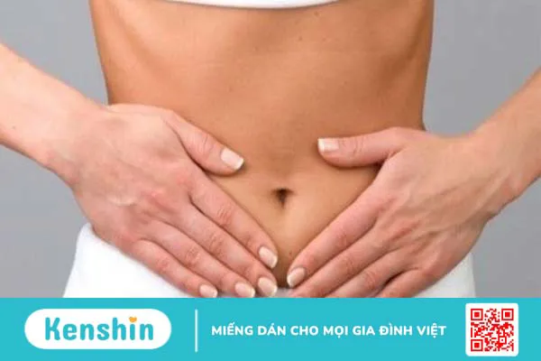 Ăn tôm có tác dụng gì? 11 tác dụng của tôm và tác hại khi ăn nhiều