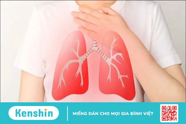 Ăn tôm có tác dụng gì? 11 tác dụng của tôm và tác hại khi ăn nhiều