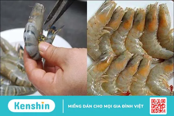 Ăn tôm có tác dụng gì? 11 tác dụng của tôm và tác hại khi ăn nhiều