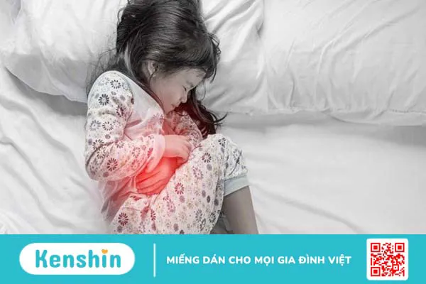 Ăn trứng vịt lộn có tác dụng gì? Cách ăn đúng để tăng cường sinh lực