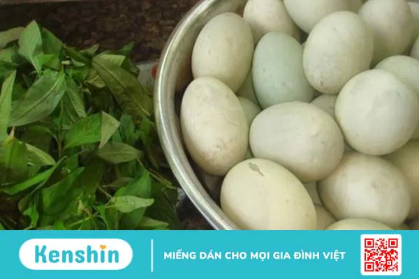 Ăn trứng vịt lộn có tác dụng gì? Cách ăn đúng để tăng cường sinh lực