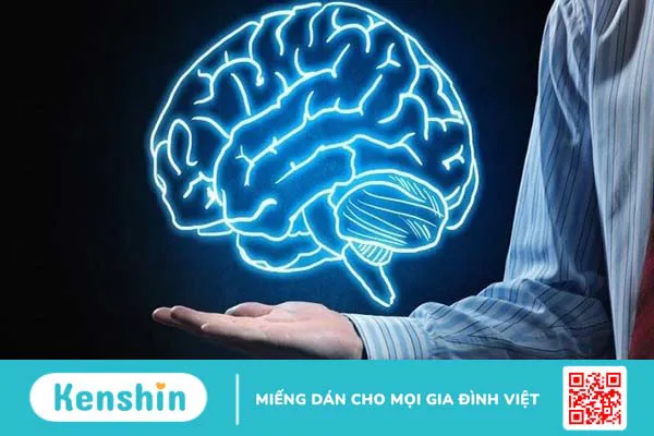 Ăn vải có tốt không? 20 tác dụng của quả vải và các lưu ý khi ăn vải