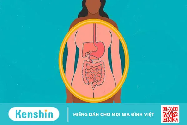 Ăn vải có tốt không? 20 tác dụng của quả vải và các lưu ý khi ăn vải