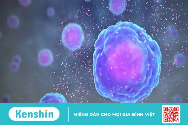 Ảnh hưởng trực tiếp của virus Covid-19 trên gan