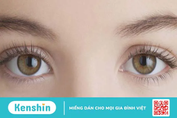 Astaxanthin là gì? 13 tác dụng, cách dùng, tác dụng phụ của astaxanthin