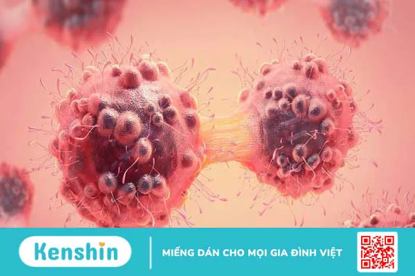 Astaxanthin là gì? 13 tác dụng, cách dùng, tác dụng phụ của astaxanthin