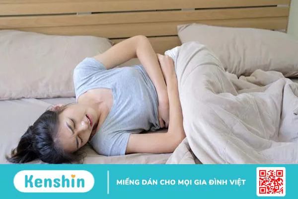 Atiso có tác dụng gì? 11 tác dụng của atiso bạn không nên bỏ qua