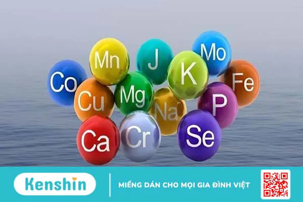 Atiso đỏ có tác dụng gì? 15 công dụng của atiso đỏ với sức khỏe