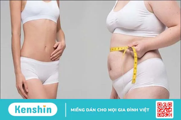 Atiso là gì? Tác dụng, cách dùng, tác dụng phụ của Atiso