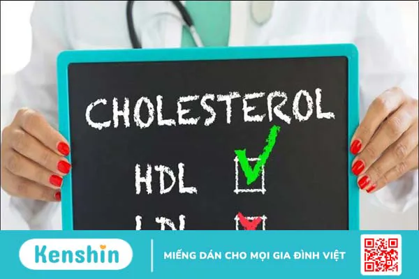 Atiso là gì? Tác dụng, cách dùng, tác dụng phụ của Atiso