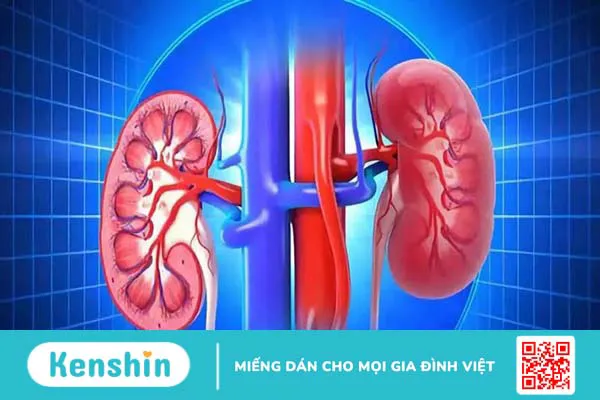 Atiso là gì? Tác dụng, cách dùng, tác dụng phụ của Atiso