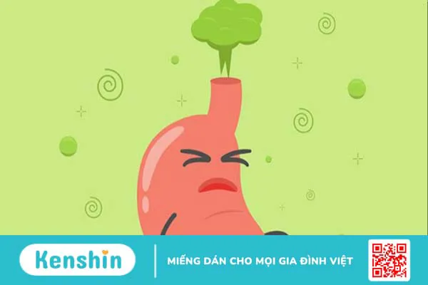 Atiso là gì? Tác dụng, cách dùng, tác dụng phụ của Atiso