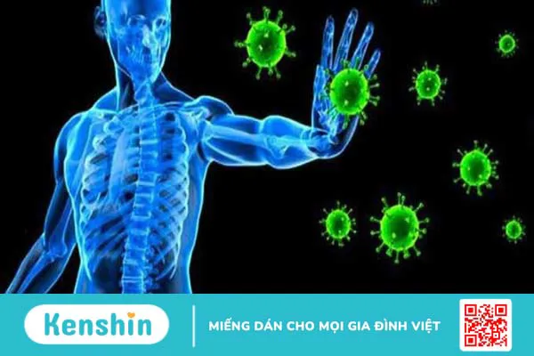 Bà bầu ăn mít được không? 10 lợi ích sức khỏe và 4 tác hại với thai kỳ