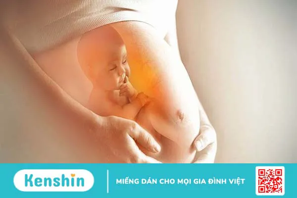 Bà bầu ăn mít được không? 10 lợi ích sức khỏe và 4 tác hại với thai kỳ