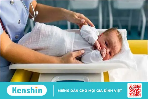 Bà bầu bị sốt xuất huyết khi mang thai có sao không? Lưu ý chăm sóc