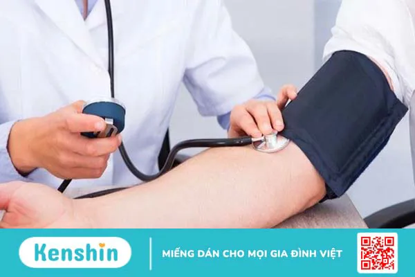 Ba kích có tác dụng gì? Ba kích có thật sự giúp bổ thận tráng dương