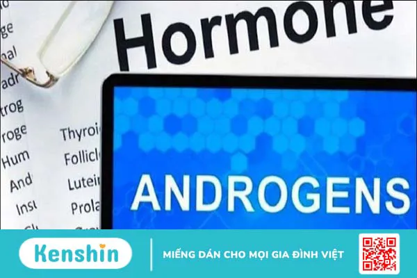 Ba kích có tác dụng gì? Ba kích có thật sự giúp bổ thận tráng dương