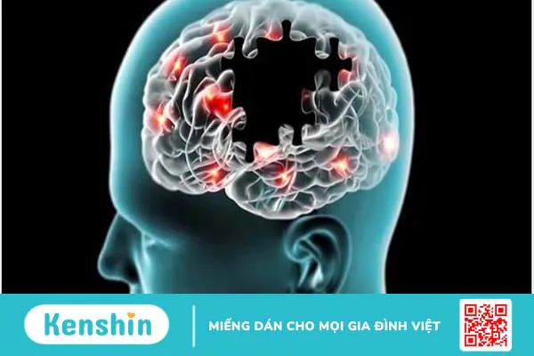 Ba kích có tác dụng gì? Ba kích có thật sự giúp bổ thận tráng dương