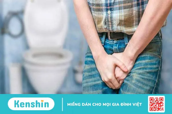 Ba kích có tác dụng gì? Ba kích có thật sự giúp bổ thận tráng dương