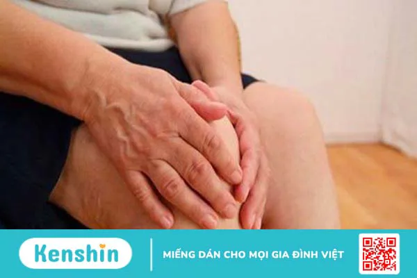 Ba kích có tác dụng gì? Ba kích có thật sự giúp bổ thận tráng dương