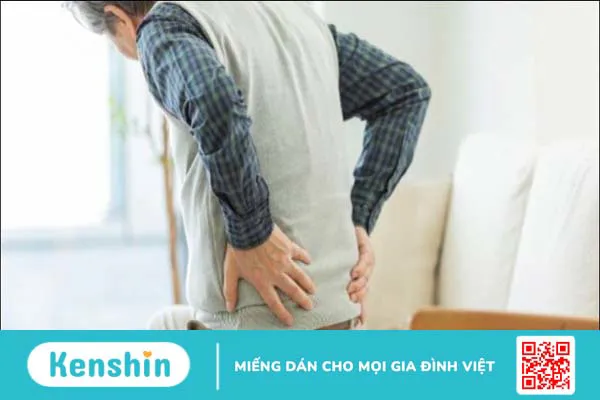 Ba kích có tác dụng gì? Ba kích có thật sự giúp bổ thận tráng dương