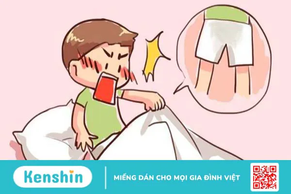 Ba kích có tác dụng gì? Ba kích có thật sự giúp bổ thận tráng dương