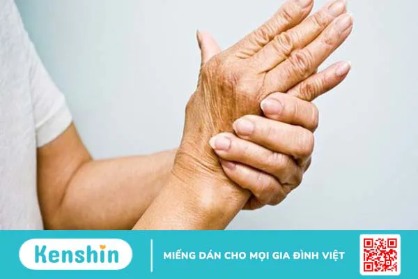 Ba kích có tác dụng gì? Ba kích có thật sự giúp bổ thận tráng dương