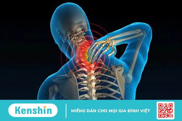 Ba kích có tác dụng gì? Ba kích có thật sự giúp bổ thận tráng dương