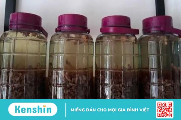 Ba kích có tác dụng gì? Ba kích có thật sự giúp bổ thận tráng dương